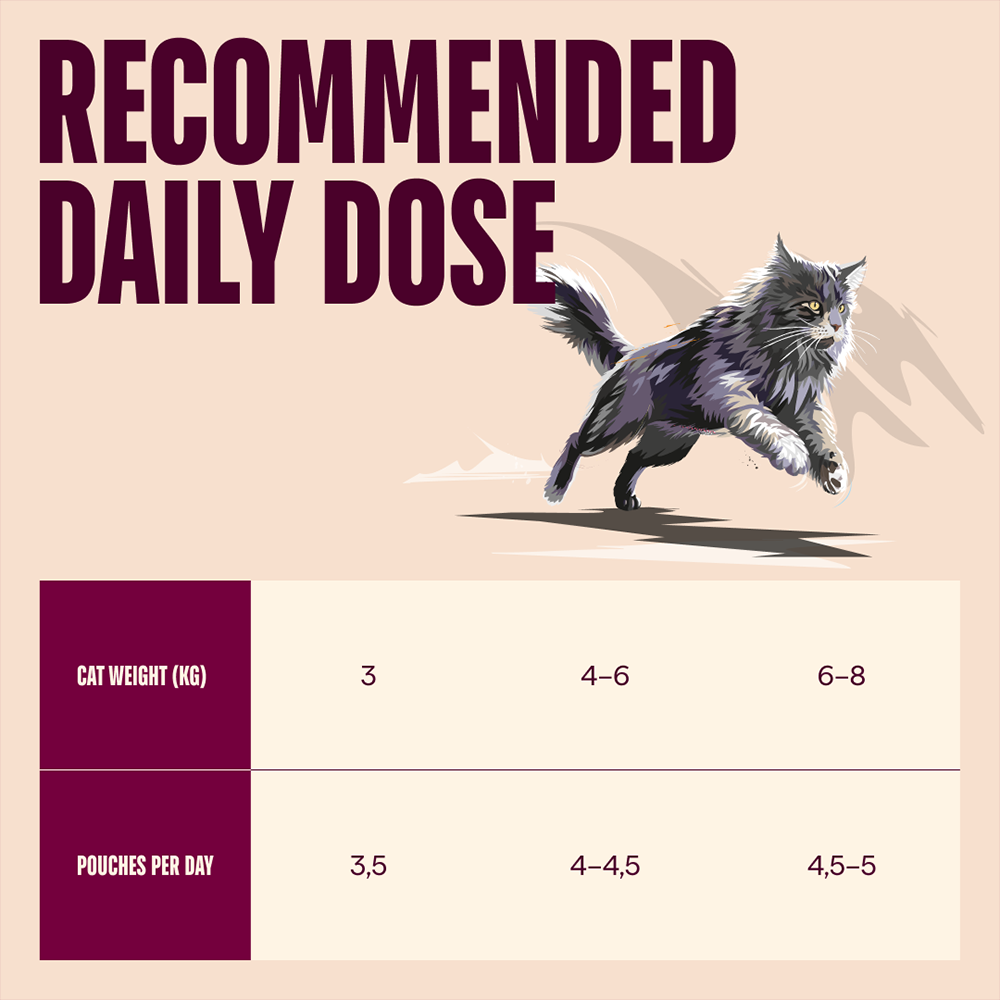 Carnilove Turkey enriched with Valerian Root for Adult Cats (Wet Food Pouches) - 85g